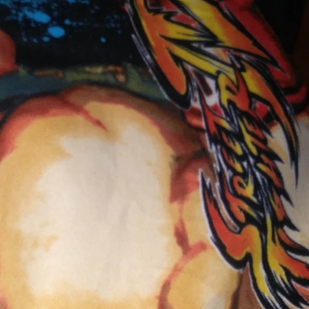 Rare Street Fighter Snuggie - Picture 3 of 4